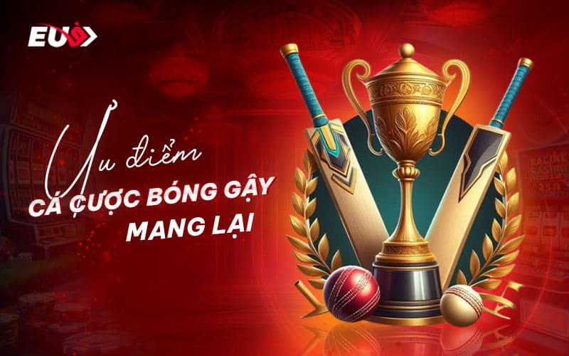 Các yếu tố hấp dẫn mà cá cược bóng gậy mang đến cho bet thủ
