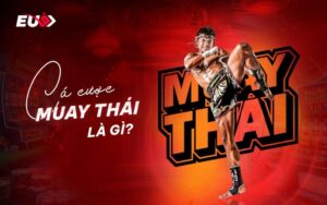 Cá cược Muay Thái – Trải nghiệm võ thuật cực hấp dẫn